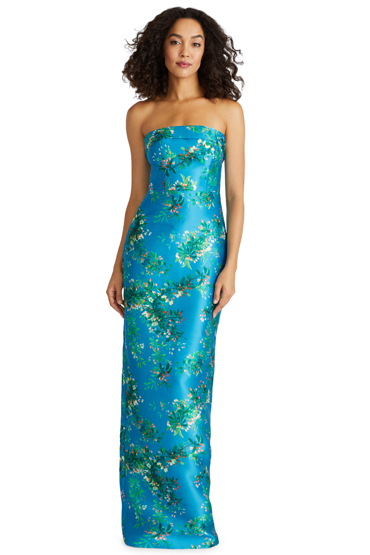 blue semi formal maxi dress Lissandra Blue Formal Maxi Dress - US 4 main image 0