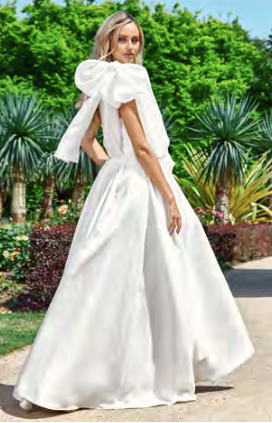 Bel Air Bridal Ball Gown by Bariano RENTAL The Fitzroy