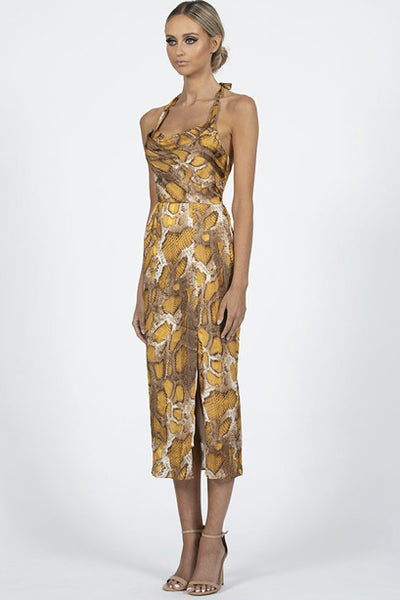 Bariano dresses Toronto